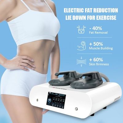 Butt Arm Muscle Sculpting Machine 2 Handles Tesla EMS RF Radio Frequency Machine